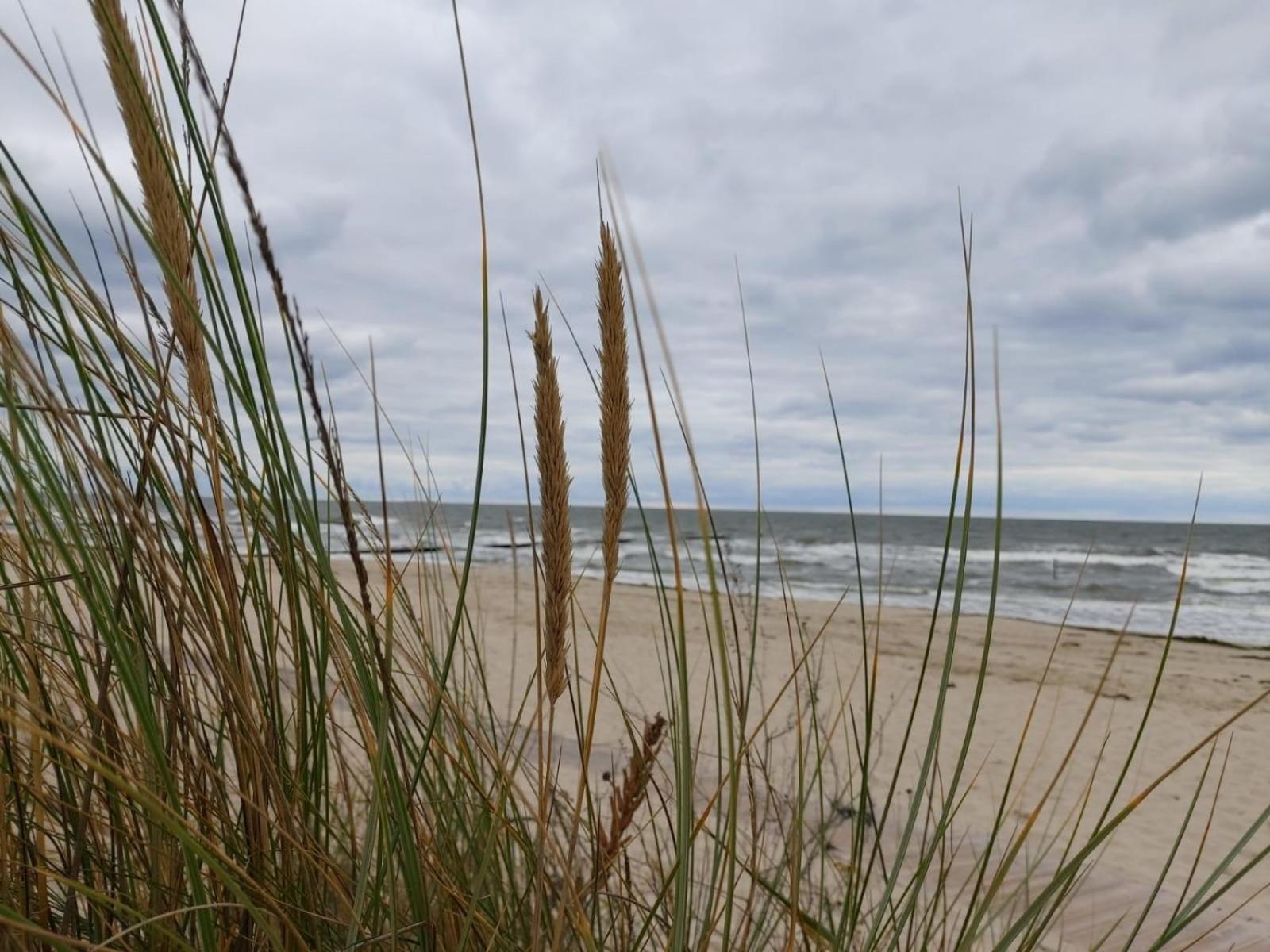 Ostsee Ferienhaus Usedom Hundefreundlich Familie Stopp Haus 22 Lutow Exteriér fotografie