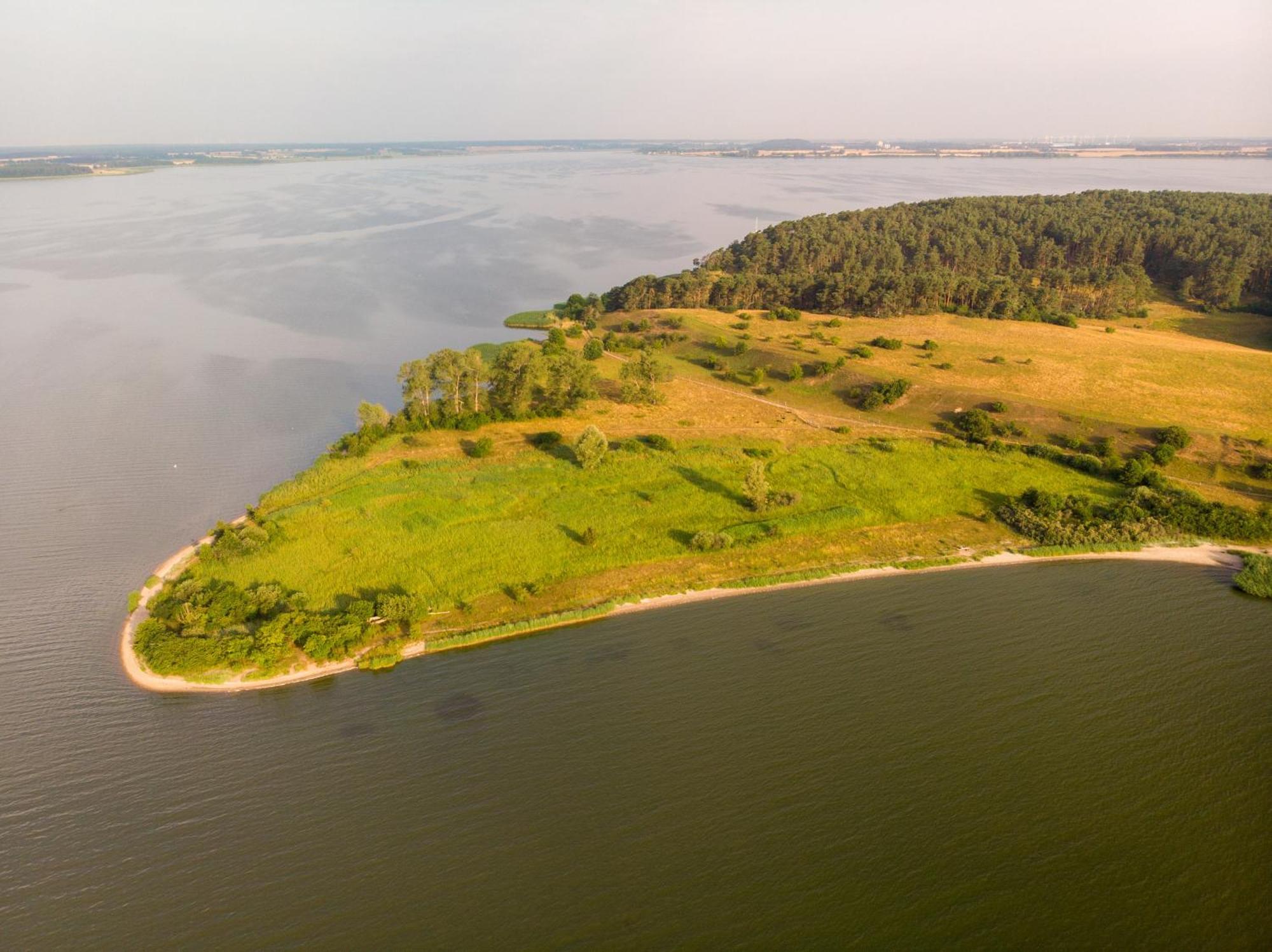 Ostsee Ferienhaus Usedom Hundefreundlich Familie Stopp Haus 22 Lutow Exteriér fotografie